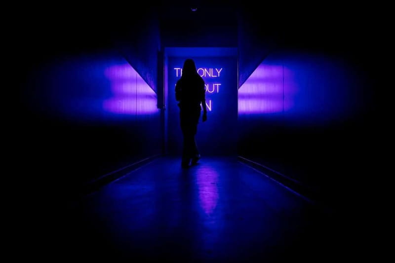 Amsterdam: AMAZE Immersive Audiovisual Experience Ticket - What to Bring (and What to Leave Behind)