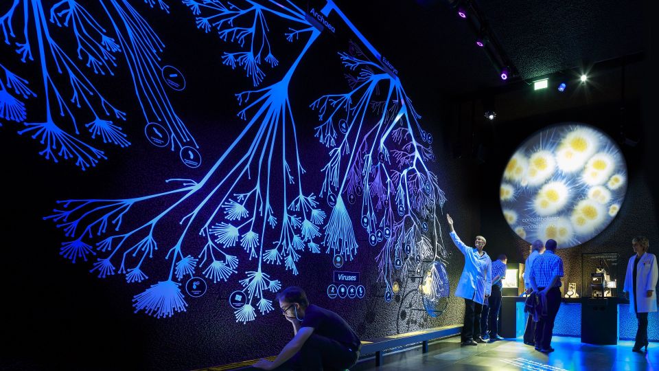 Amsterdam: ARTIS-Micropia Microbe Museum Entry Ticket - Who should book Micropia, and who might want a different type of museum