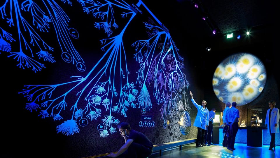 Amsterdam: Artis Royal Zoo & ARTIS-Micropia Combo Ticket - How long will this take? Build a simple day rhythm