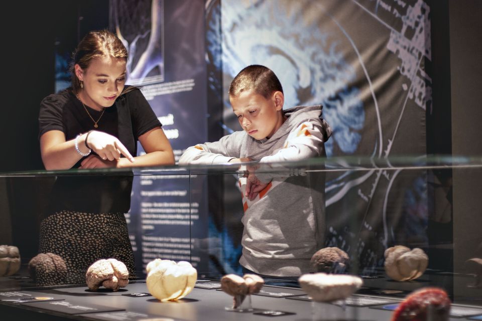 Amsterdam: Body Worlds Exhibition and Canal Cruise - Canal cruise departure options: choose a starting point that matches your day