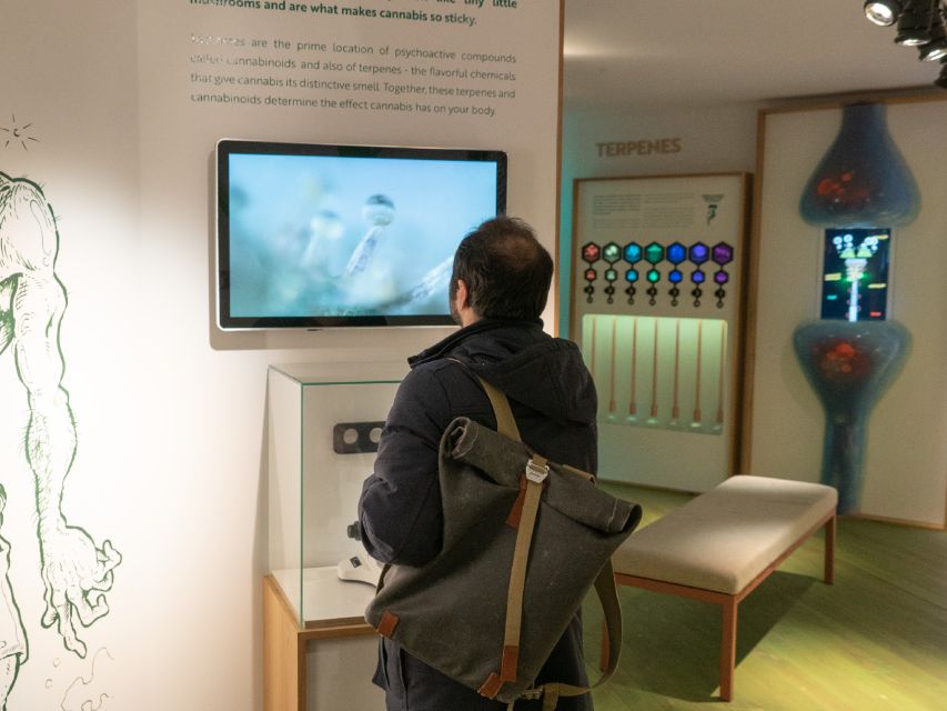 Amsterdam: Cannabis Museum Entry Ticket - Where the Cannabis Museum Fits in Your Amsterdam Day