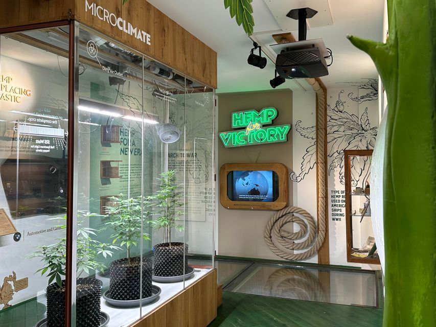 Amsterdam: Cannabis Museum Entry Ticket - Price and Value: Is $14 Worth It?
