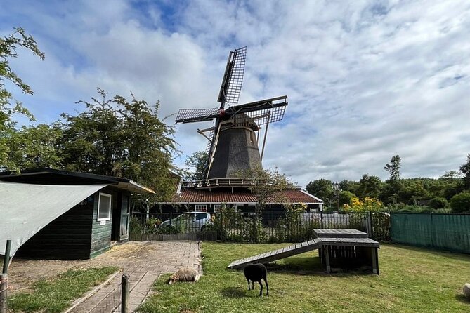 Amsterdam Countryside Bike and Kayak Tour - The ride out: North Amsterdam bike paths and the countryside rhythm