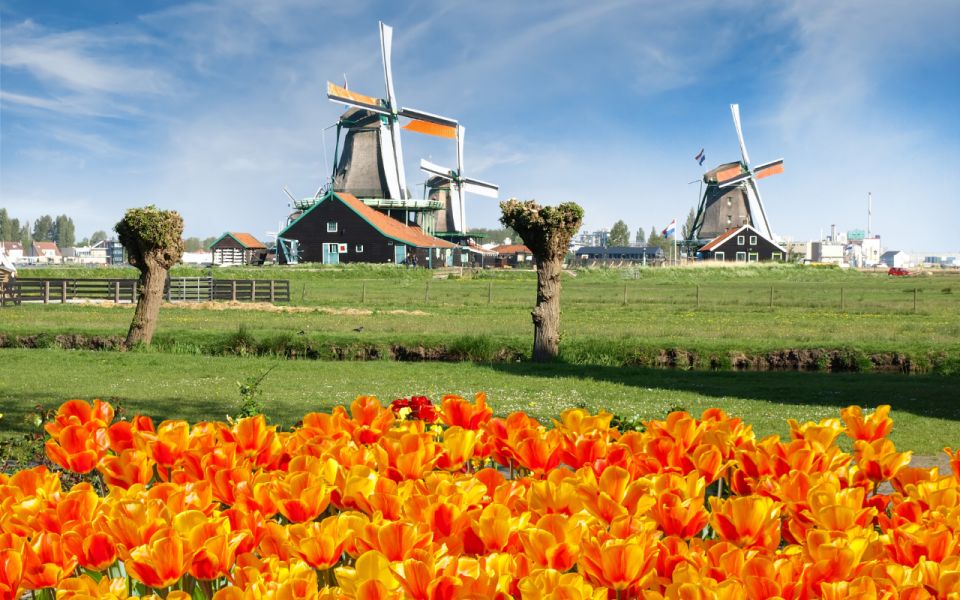 Amsterdam: Day Tour Keukenhof and Zaanse Schans Windmills - Zaanse Schans windmill village: what 2.5 hours feels like