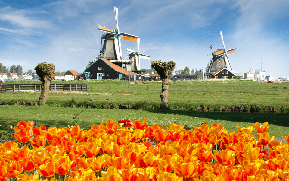 Amsterdam: Day Tour Keukenhof and Zaanse Schans Windmills - Price and what you actually get for $72