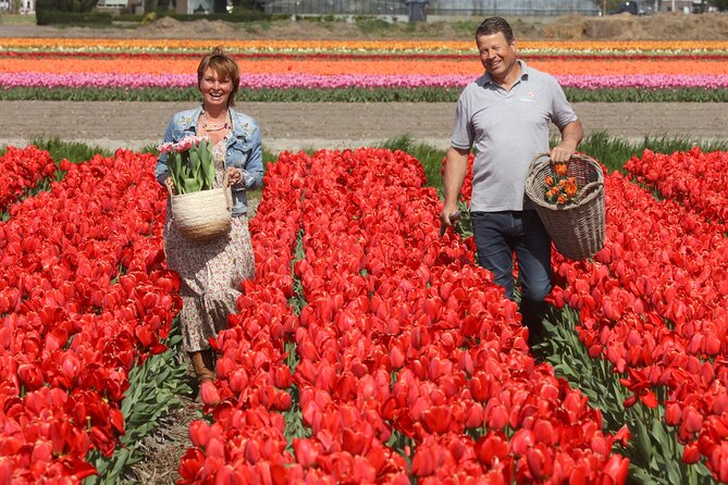 Amsterdam: Day trip to Tulip Farm, Keukenhof + Windmill Cruise - Kagerplassen windmill cruise: relaxing views, variable narration