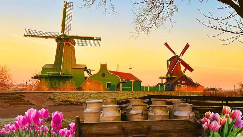 Amsterdam: Giethoorn & Zaanse Schans Small Group Day Trip - The Scenic Drive: Tulip Fields and Wide Dutch Skies
