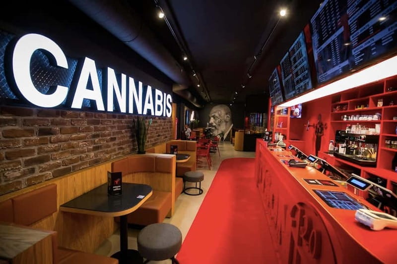 Amsterdam: Guided Ganja Walking Tour of Coffee Shops - What this ganja walking tour in Amsterdam really delivers