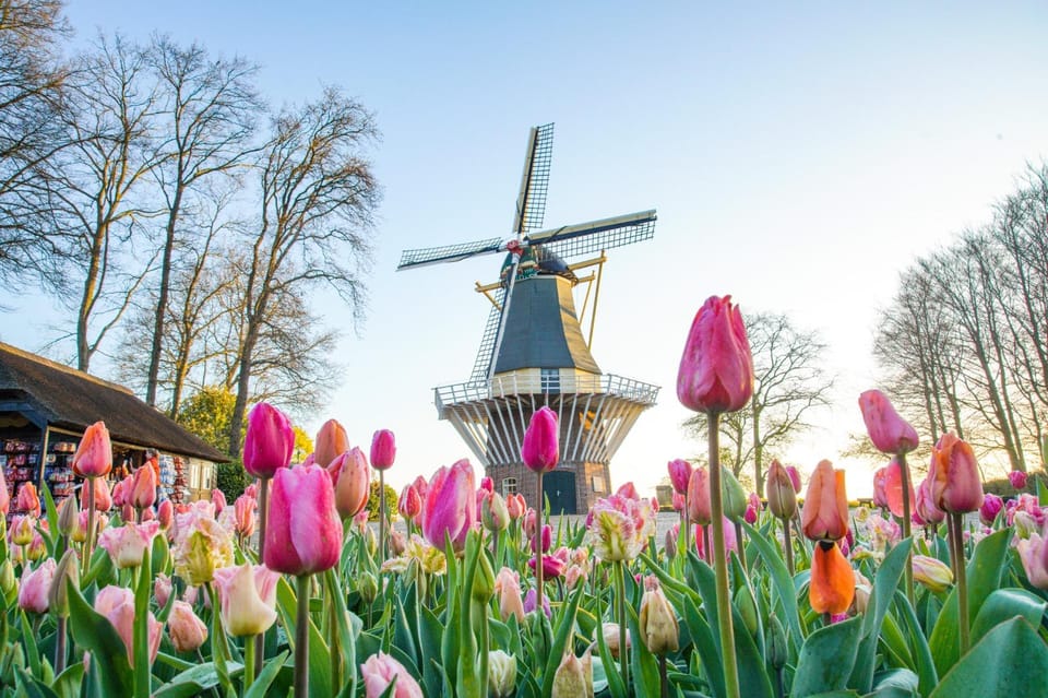 Amsterdam: Keukenhof and Zaanse Schans Live Guided Day Tour - Bloom, Weather, and the Reality of Tulip Timing