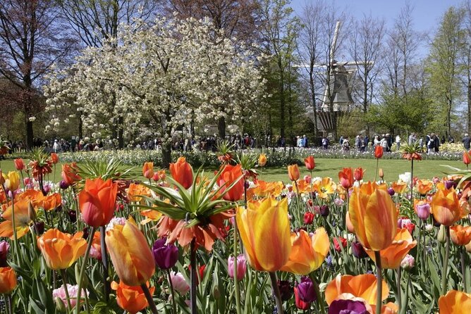 Amsterdam: Keukenhof Entry & Shuttle Bus with Flexible Return - Finding This is Holland Fast Using the Central Station Ferry