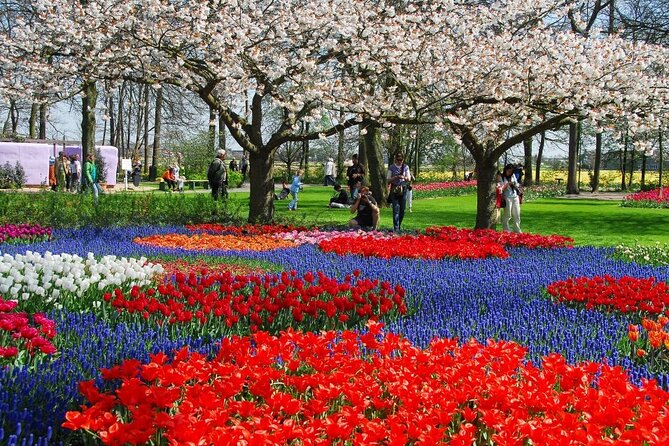 Amsterdam: Keukenhof Entry & Shuttle Bus with Flexible Return - FAQ