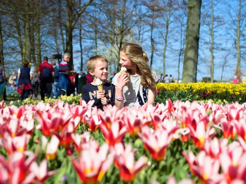 Amsterdam: Keukenhof Ticket and Roundtrip Shuttle Transfer - Key things I’d plan around