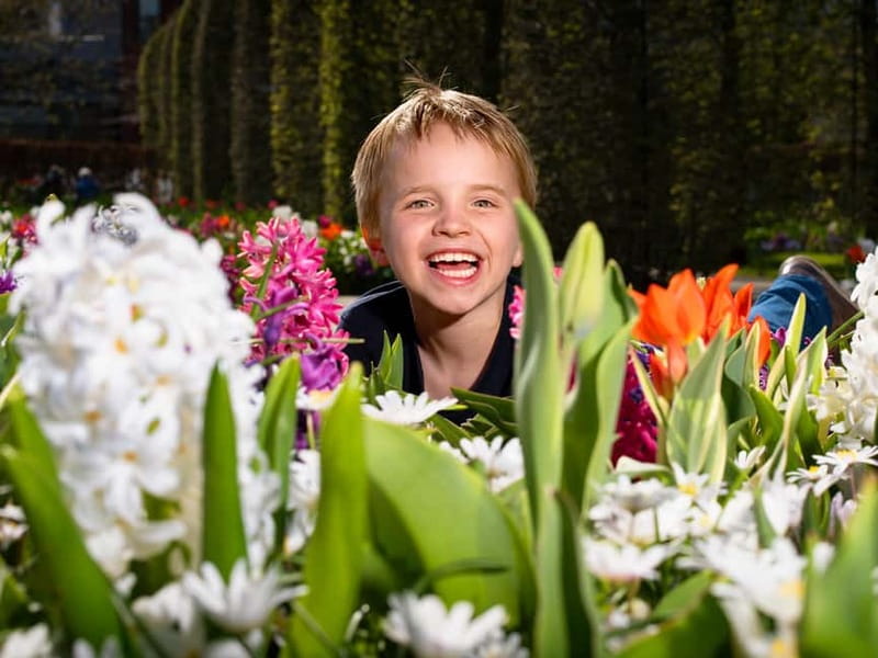 Amsterdam: Keukenhof Ticket and Roundtrip Shuttle Transfer - Crowds and logistics: what to expect when it’s busy