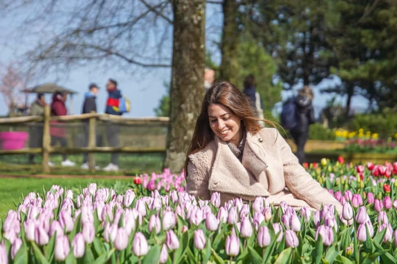 Amsterdam: Keukenhof Ticket and Roundtrip Shuttle Transfer - Return shuttles every 30 minutes: your day, with boundaries
