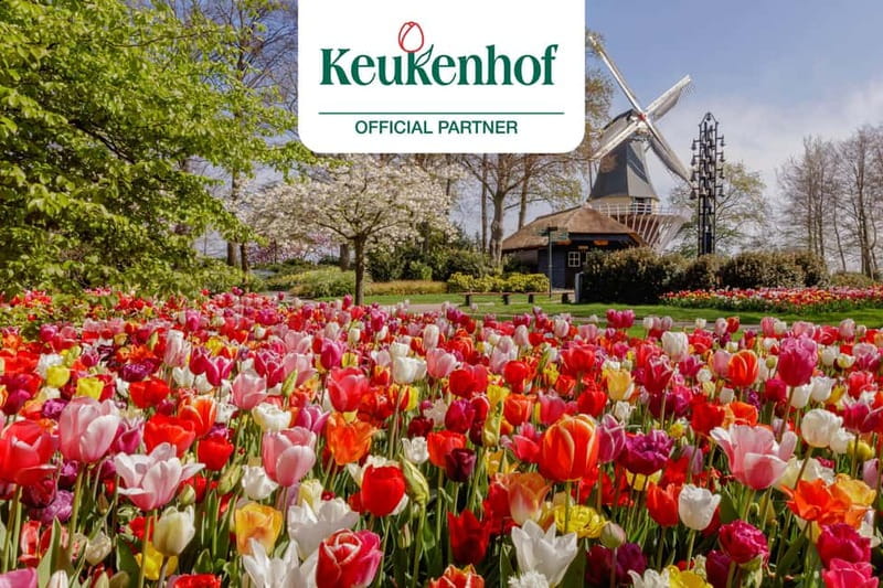 Amsterdam: Keukenhof Ticket and Roundtrip Shuttle Transfer - The meeting point that actually matters: This is Holland, Overhoeksplein