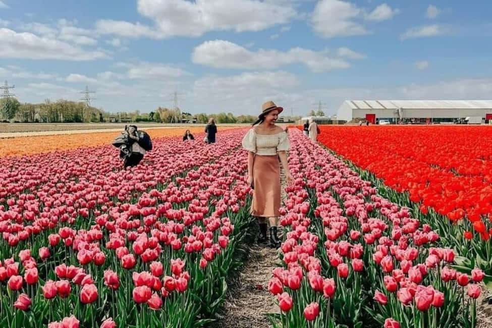 Amsterdam: Keukenhof, Tulip Farm Full-Day Tour with Cruise - The day’s route: Amsterdam to tulips, then windmills, then Keukenhof