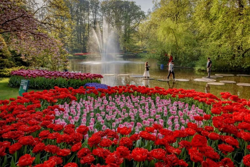 Amsterdam: Keukenhof, Tulip Farm Full-Day Tour with Cruise - Keukenhof gardens from 13:30 onward: how to use your free time well