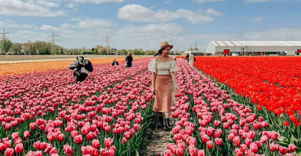 Amsterdam: Keukenhof, Tulip Farm Full-Day Tour with Cruise - Price and value: what $96 buys you (and why it can be a bargain)