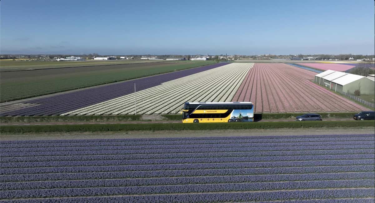 Amsterdam: Keukenhof, Tulip Farm Full-Day Tour with Cruise - Crowd and timing reality checks (so your day stays fun)
