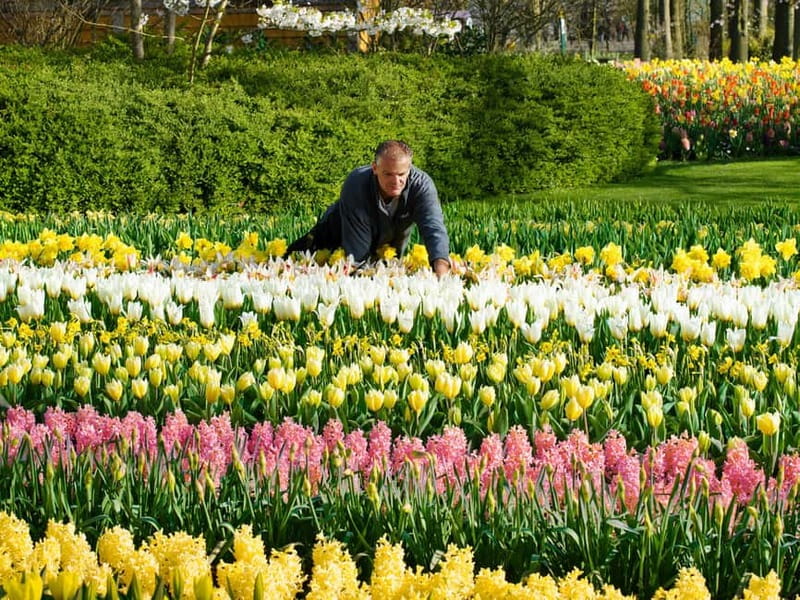 Amsterdam: Keukenhof, Tulip Farm Full-Day Tour with Cruise - Who should book this tour, and who might skip it