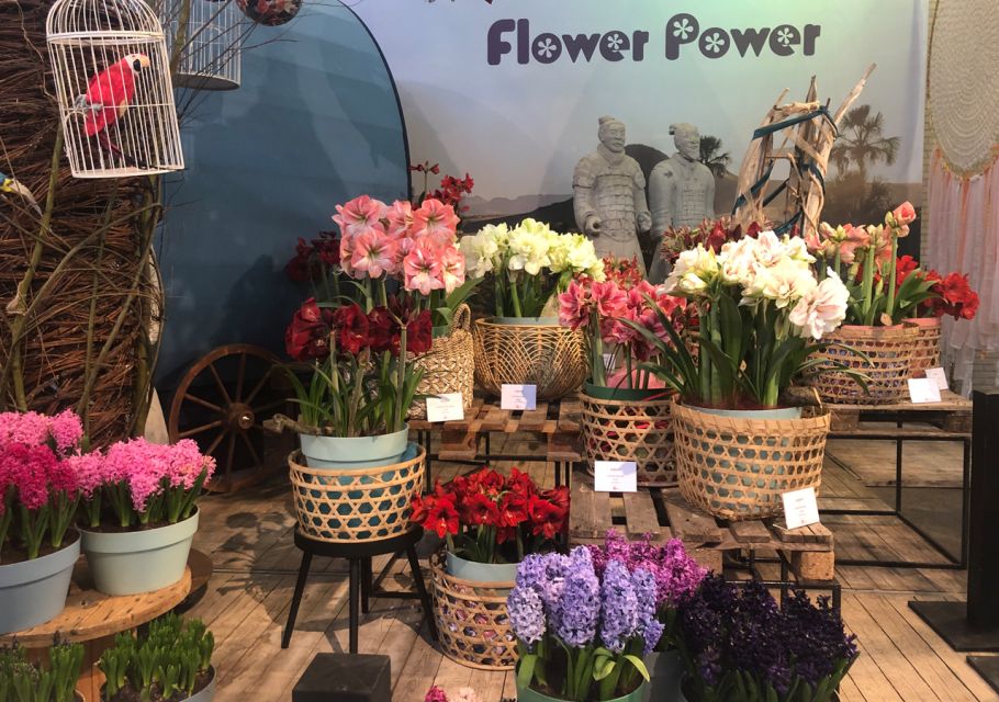 Amsterdam: Keukenhof Tulip Garden and Giethoorn Experience - Price and value: what you pay for at $175 per person