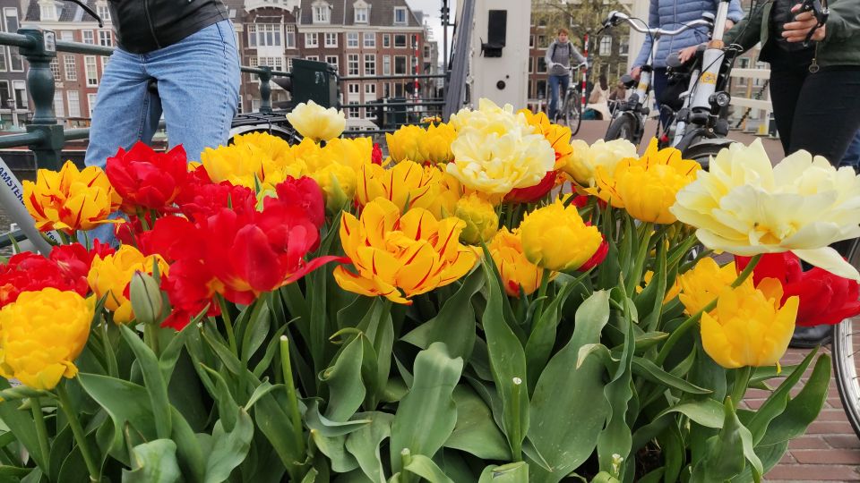 Amsterdam: Off the Beaten Path Bike Tour in French - Why Samy’s style lands: humor, safety, and Q&A that feels practical