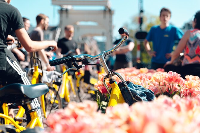 Amsterdam Small Group Bike Tour - Key things to know before you pedal