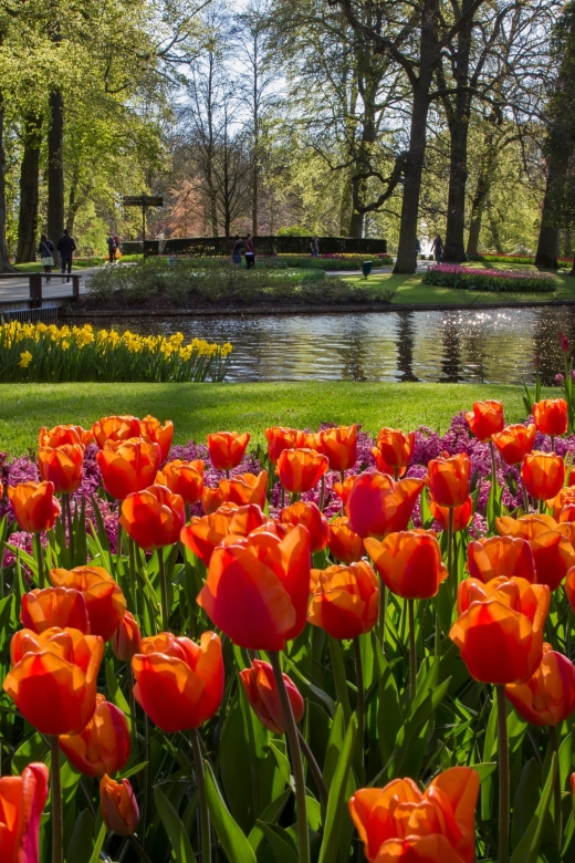 Amsterdam: Tour to Keukenhof Gardens with Windmill Cruise - Keukenhof gardens: how to use your flexible hours in a big, crowded park