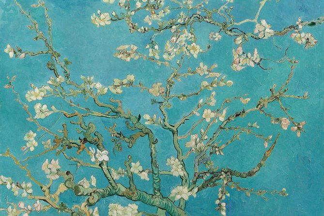 Amsterdam: Van Gogh Museum Entry & 75 minute City Canal Cruise - Who Should Book This Van Gogh + Canal Cruise Package?