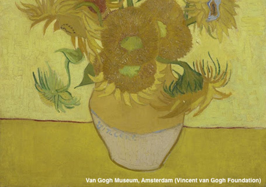 Amsterdam: Van Gogh Museum Guided Tour with Entry - Key things that stand out