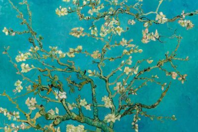 Amsterdam: Van Gogh Museum Ticket and City Canal Cruise - The combo value: Van Gogh Museum with a 75-minute canal cruise