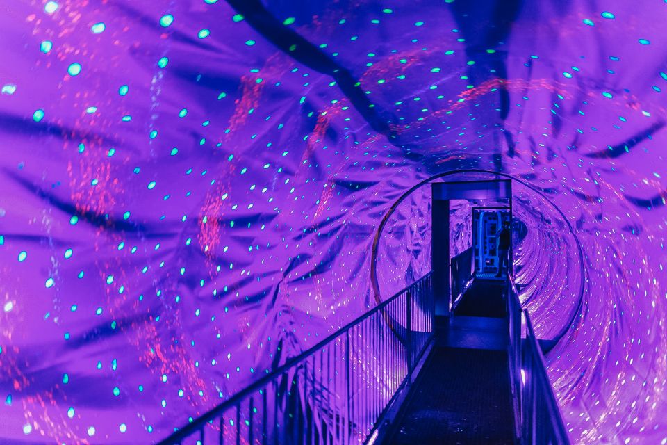 Amsterdam's Weirdest Museum: Believe It or Not! - Key Things That Make This Museum Worth Your Time