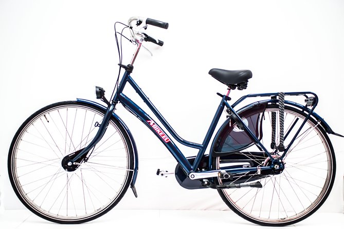 Bike Rental in Amsterdam - Cycling reality check: tram tracks, speed, and weather