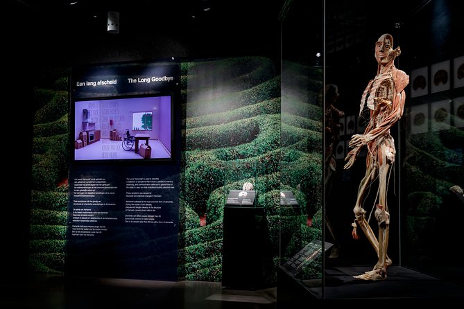 Body Worlds Amsterdam Admission Ticket - Should you book Body Worlds Amsterdam?