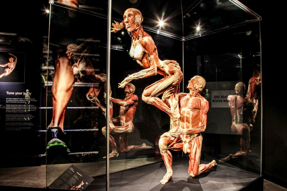 Body Worlds Amsterdam: The Happiness Project Ticket - Interactive health moments: InBody scan and hands-on stations
