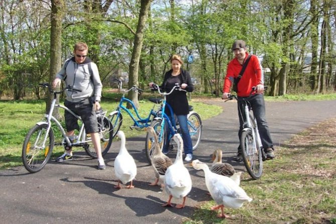 Cheese, Canals & Windmill Countryside E-Bike Tour Amsterdam - Nieuwendammerdijk: The Long Stretch for Photos and Quiet Roads
