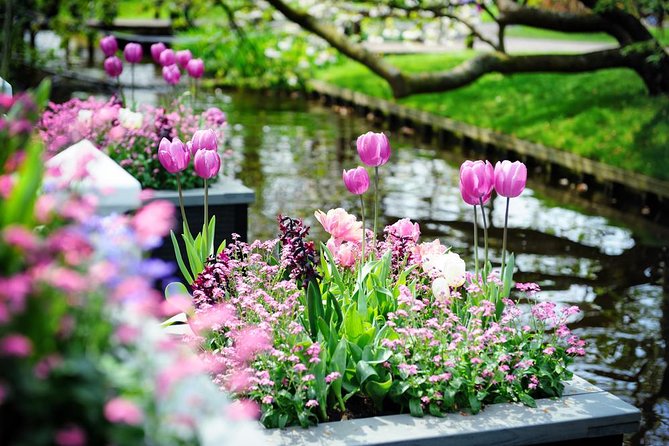 Day Trip to Keukenhof Gardens from Amsterdam with Tour Guide - The coach ride from Amsterdam: comfort, timing, and what you might hear
