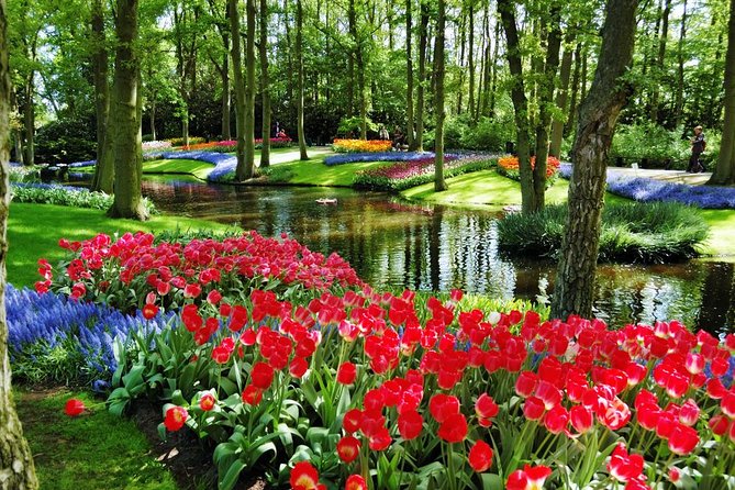 Day Trip to Keukenhof Gardens from Amsterdam with Tour Guide - Who this Keukenhof day trip is best for
