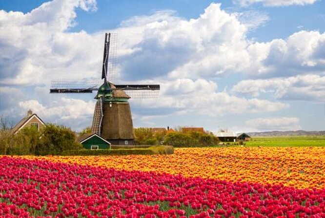 Escape Amsterdam: E-Bike to Zaanse Schans Windmills & Zaandam - Key things I’d zero in on