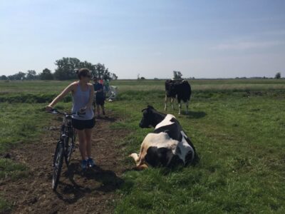 From Amsterdam: Countryside Bike Tour - Dutch Dams and Dikes: The Water-Management Lesson You Ride Through