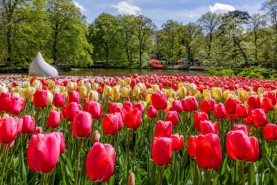 From Amsterdam: Keukenhof and Dutch Countryside Tour - Zaanse Schans Windmills: The Part You’ll Actually Remember