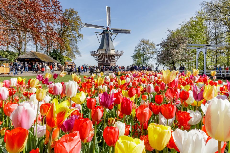 From Amsterdam: Keukenhof and Dutch Countryside Tour - Food, Shopping, and What to Bring