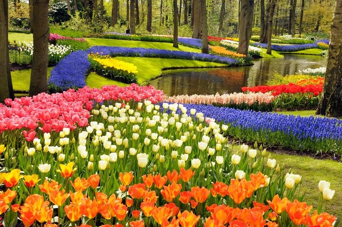 From Amsterdam: Keukenhof Gardens Ticket and Transfer - Key Things I’d Pay Attention To