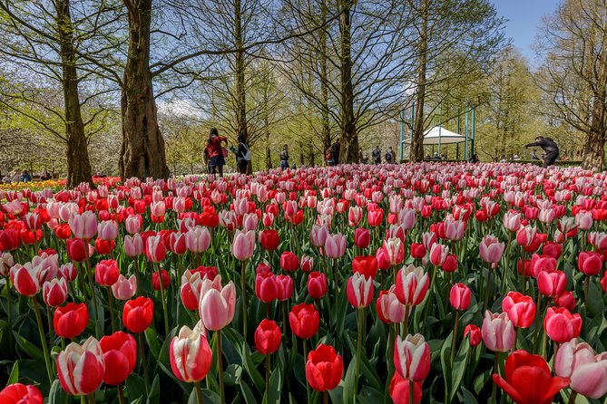 From Amsterdam: Keukenhof Gardens Ticket and Transfer - Keukenhof Gardens: Three Hours in a Spring Flower World