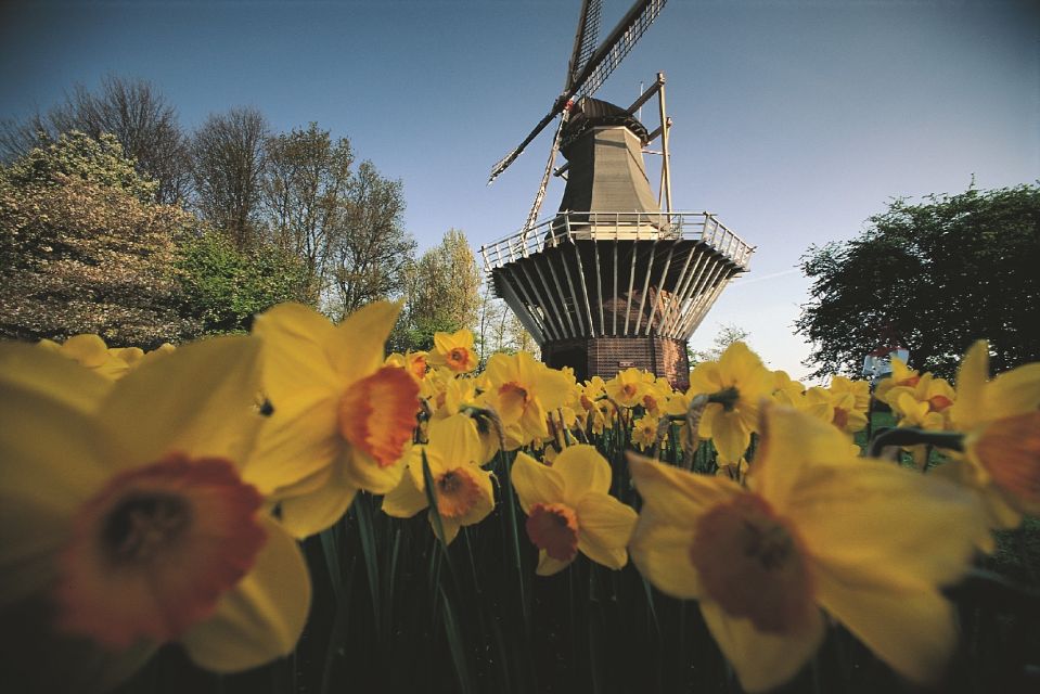 From Amsterdam: Keukenhof Gardens & Tulip Experience Tour - Photo strategy: unlimited fields vs crowded garden time