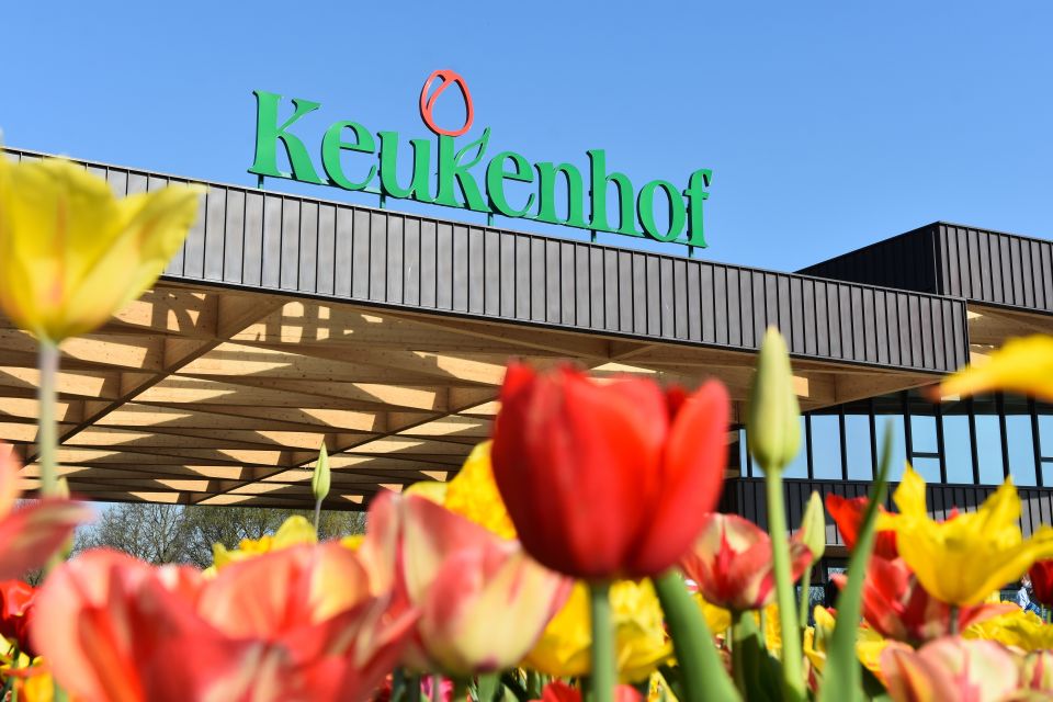 From Amsterdam: Keukenhof Gardens & Tulip Experience Tour - Coffee, food, and the one timing hiccup to know