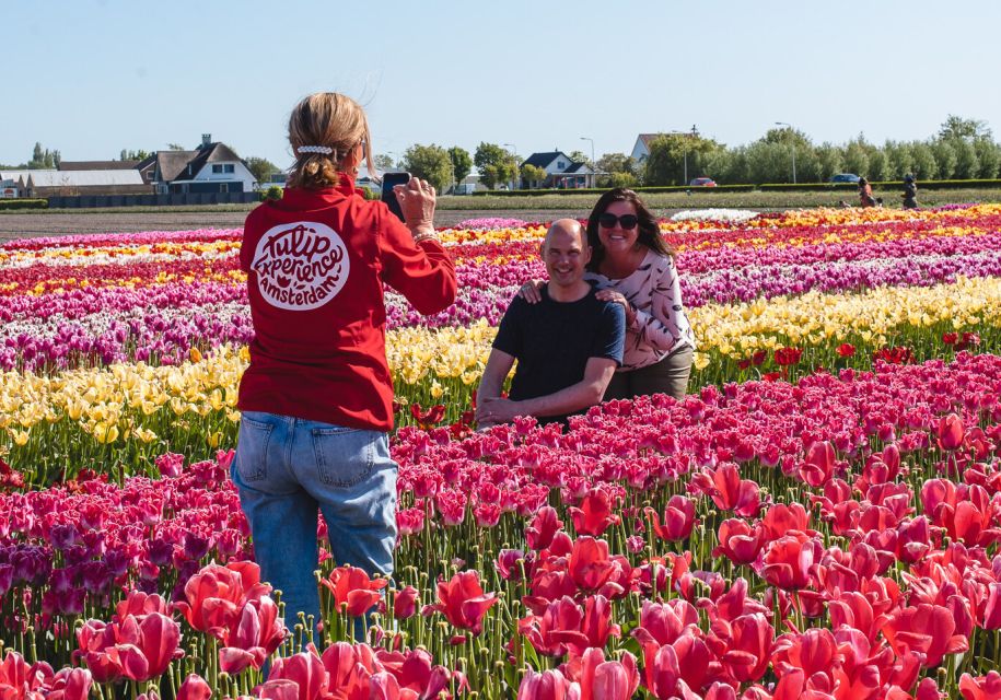 From Amsterdam: Keukenhof Gardens & Tulip Experience Tour - Value check: is $94 a fair deal for this Amsterdam day trip?