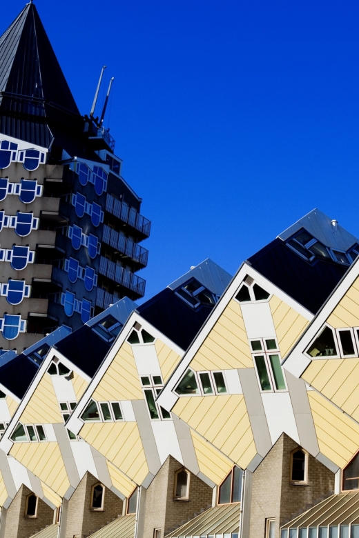 From Amsterdam: Rotterdam and The Hague Tour in Spanish - From Binnenhof Power to Rotterdam’s Cube Houses