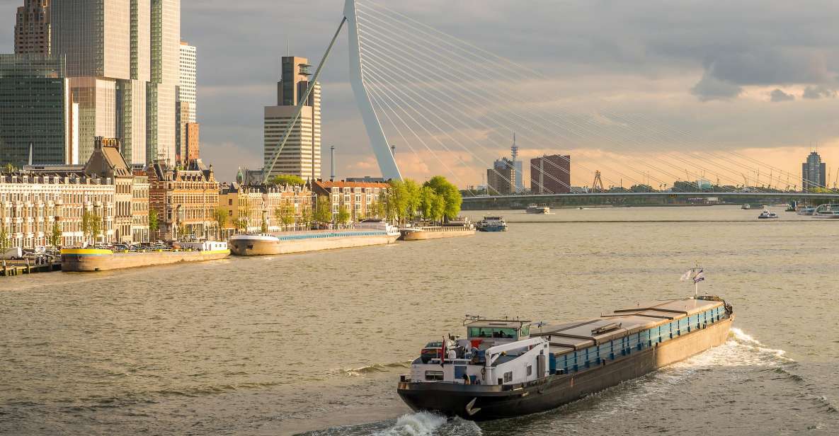 From Amsterdam: Rotterdam and The Hague Tour in Spanish - Meeting Point: Aloha Bowling and the Green Umbrellas