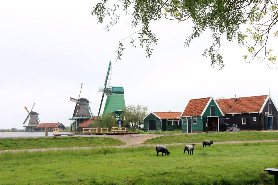 From Amsterdam: Windmills of Zaanse Schans Tour - Language and guide support you should expect